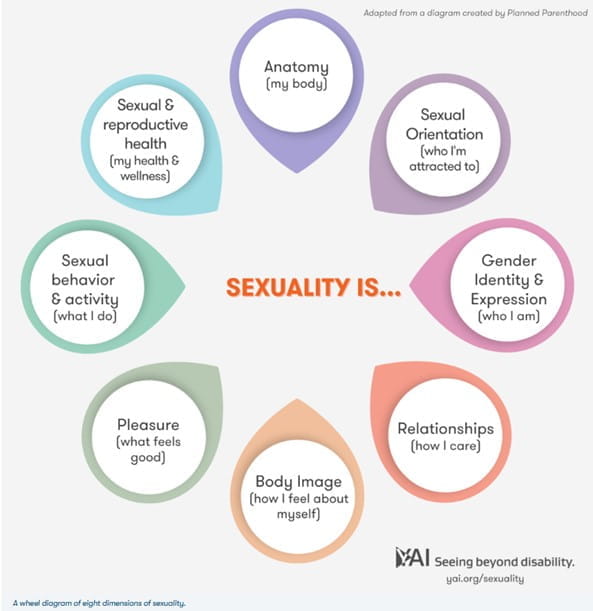 sexuality is... anatomy, sexual orientation, gender identity and expression, relationships, body image, pleasure, sexual behavior and activity, sexual and reproductive health