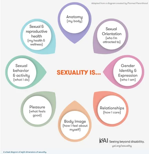 sexuality is... anatomy, sexual orientation, gender identity and expression, relationships, body image, pleasure, sexual behavior and activity, sexual and reproductive health
