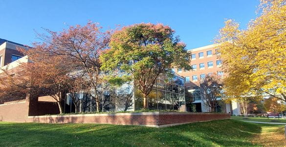Ruth Lilly Medical Library