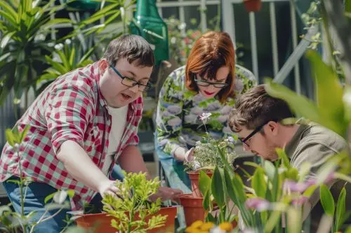three friends with intellectual disabilities potting plants