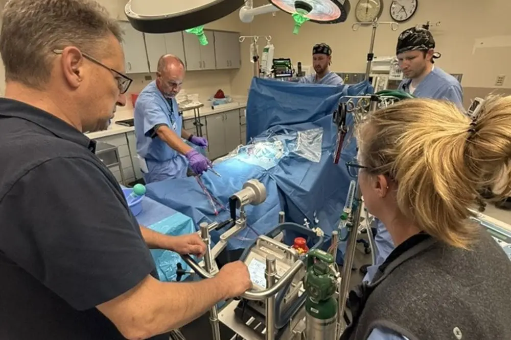 Faculty and fellows conducting ECMO Training