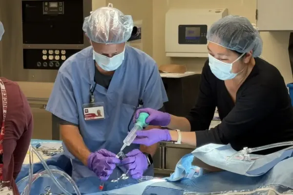 A physician and a fellow conducting ECMO training