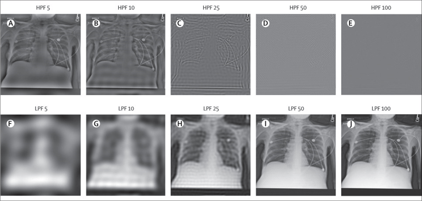 Samples of images altered to test AI accuracy Samples of images altered to test AI accuracy