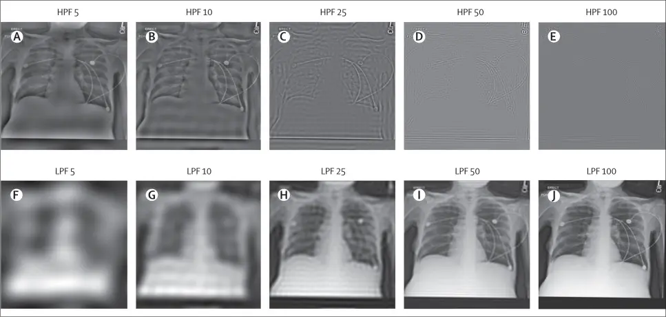 Samples of images altered to test AI accuracy