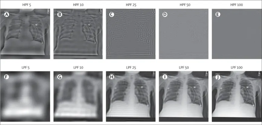 Samples of images altered to test AI accuracy Samples of images altered to test AI accuracy