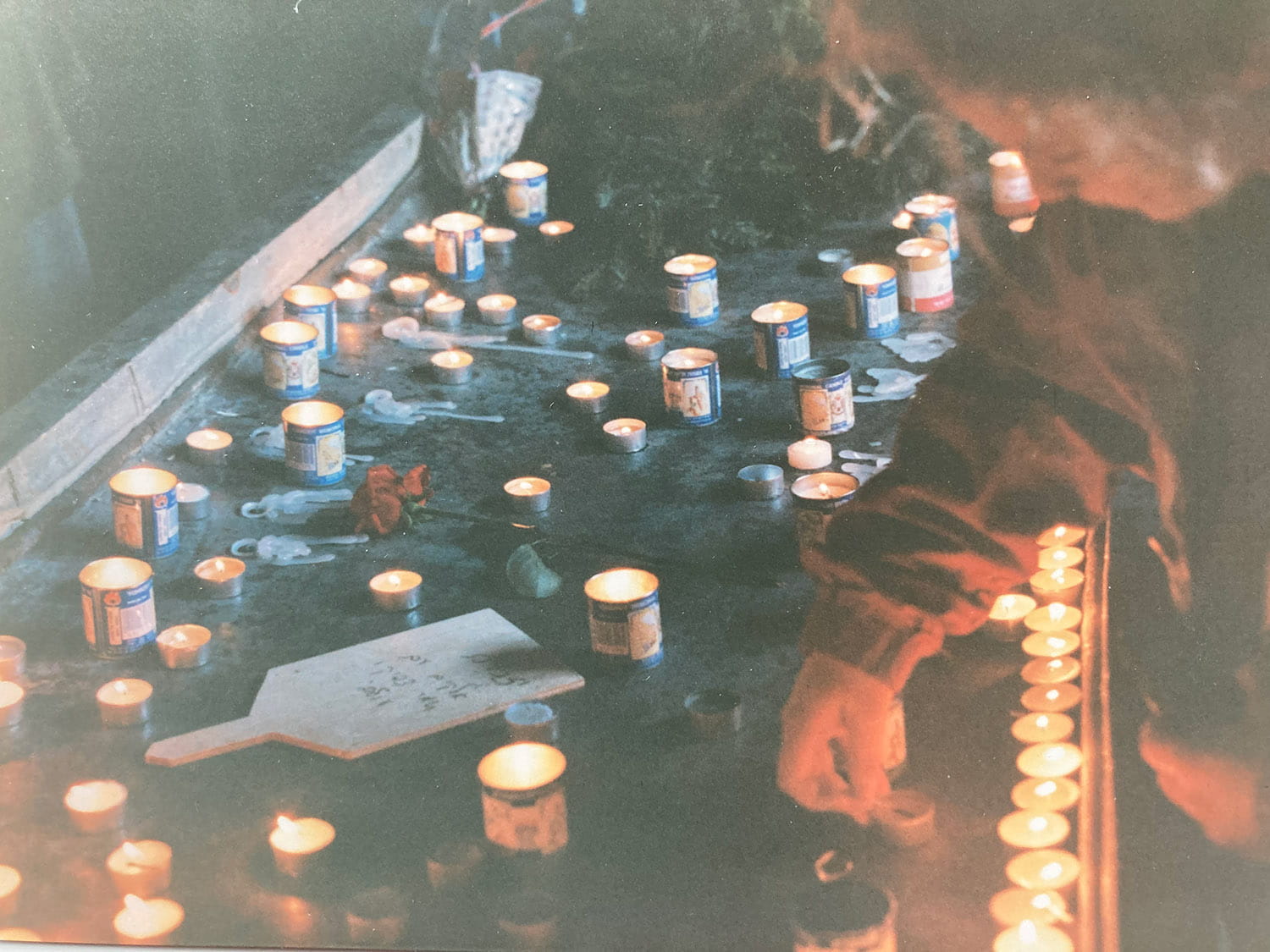 Auschwitz Dissection Table