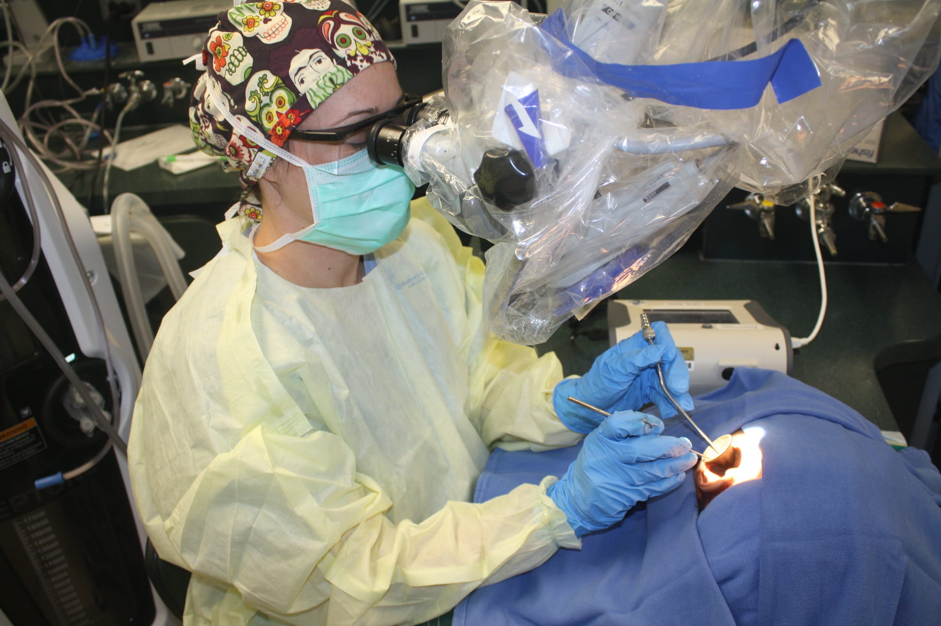 Dr. Sarah Burgin conducting a cadaver study.