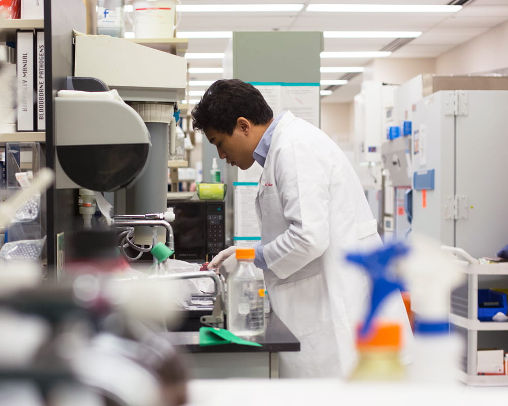 a researcher at work in the lab