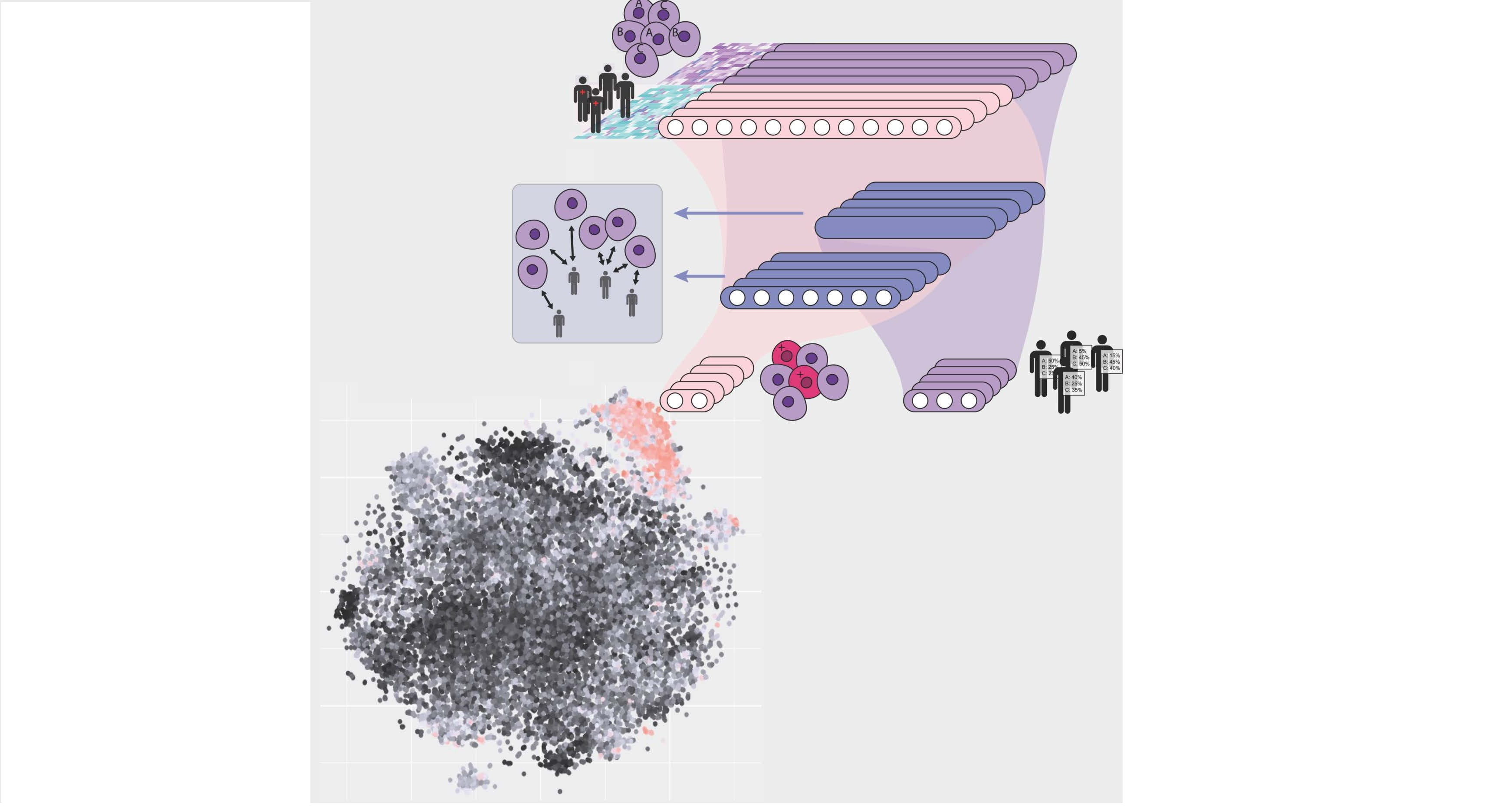 DEGAS transfers “impressions” of disease risk to cells.