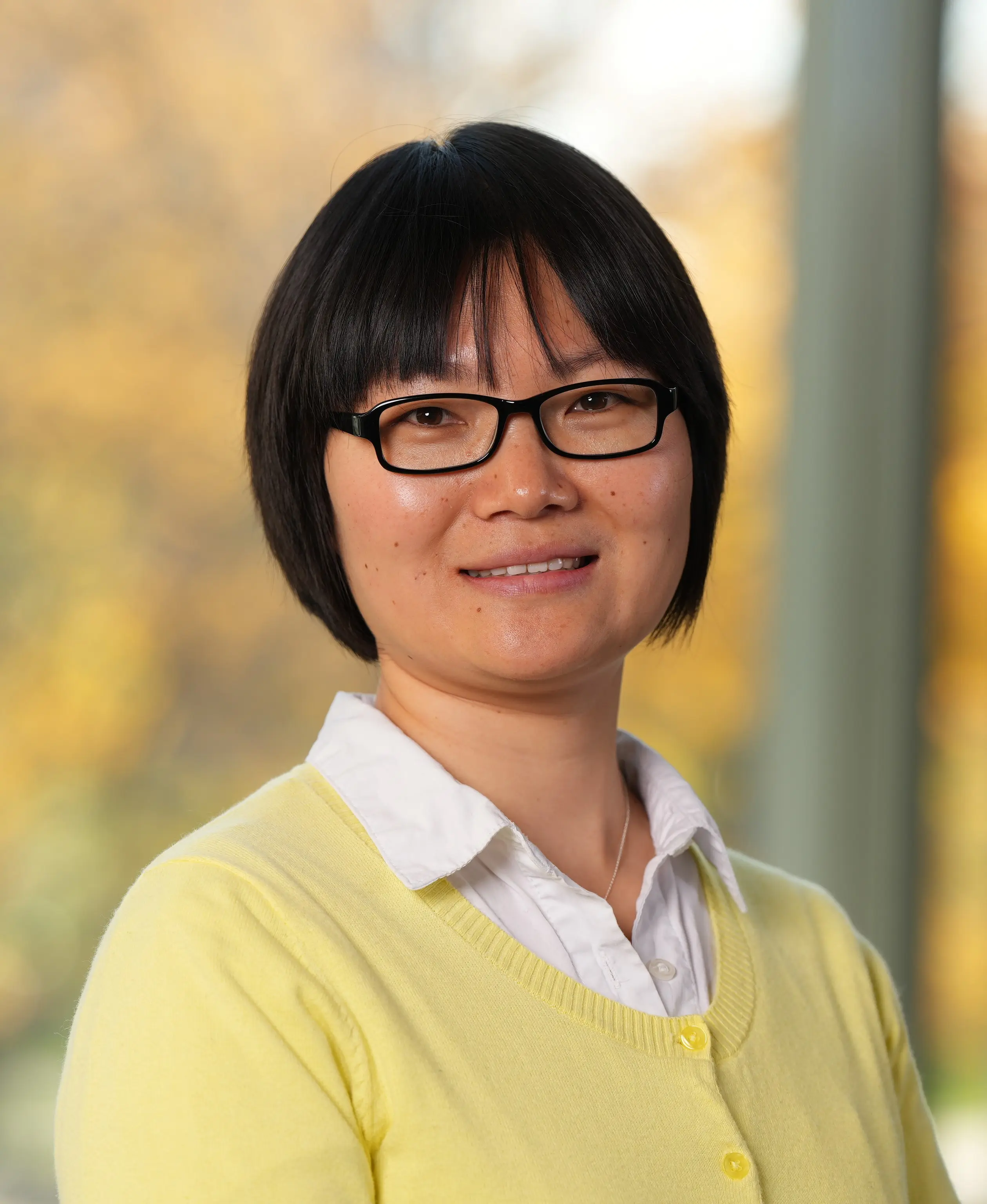 Portrait of Hui DIng