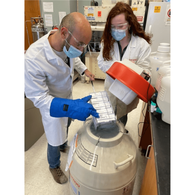 Fabrizio Pin, PhD, and Alyson Essex working in the Bonetto Lab 