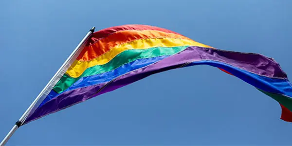 LGBTQ+ Pride Flag