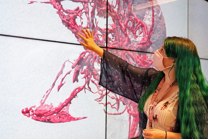 a student using a large wall-size display to visualize anatomy