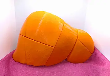 3D-printed segmented liver model (front view)