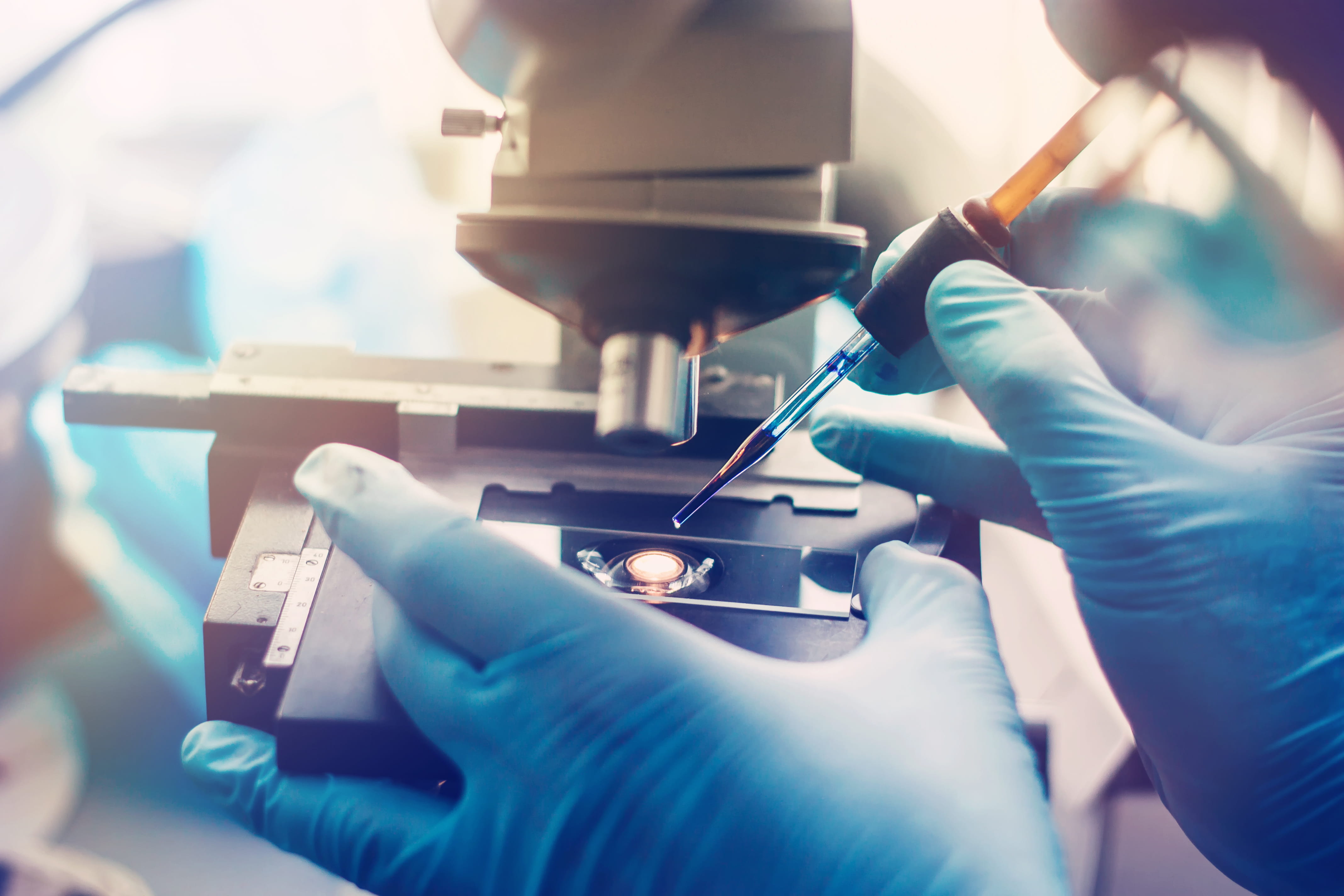 gloved hands prepare a sample under a microscope