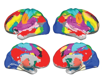 Yu Nature Publication Alzheimer's