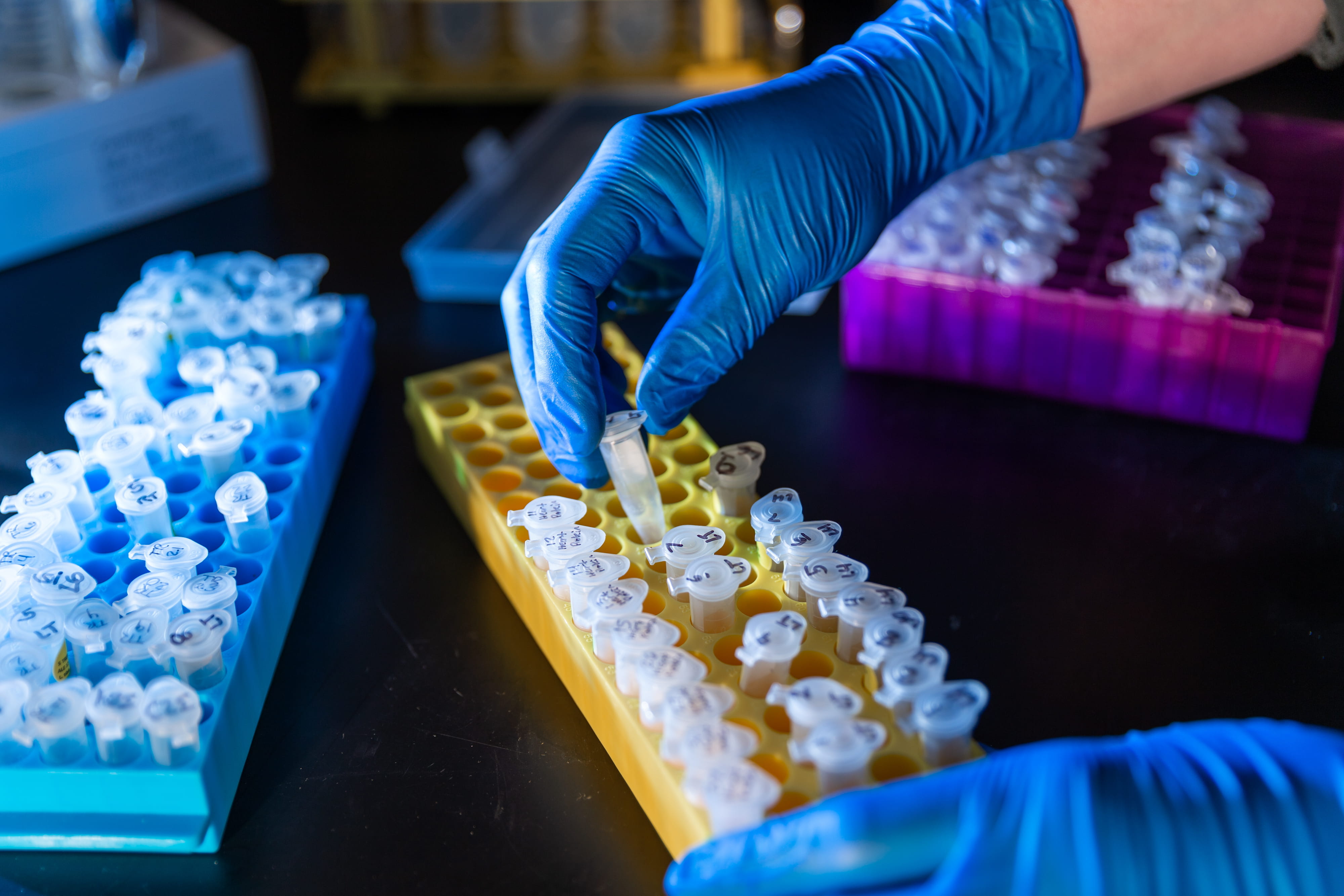 Hands working with samples in a lab