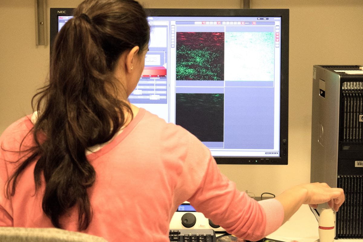Researcher working at desktop computer