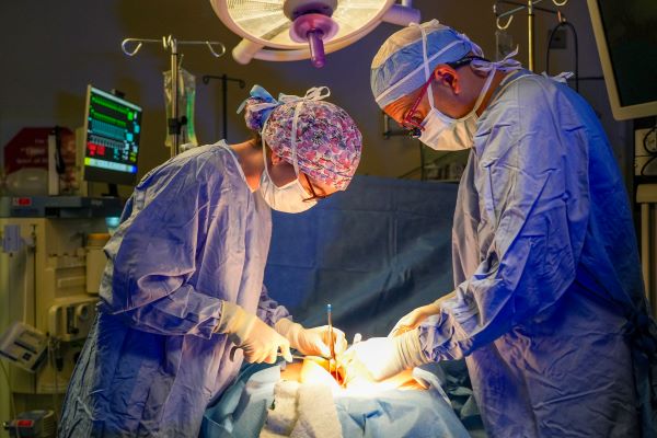 Surgeons focusing in the operating room