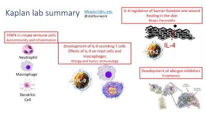 graphic shows overview of research projects in the lab
