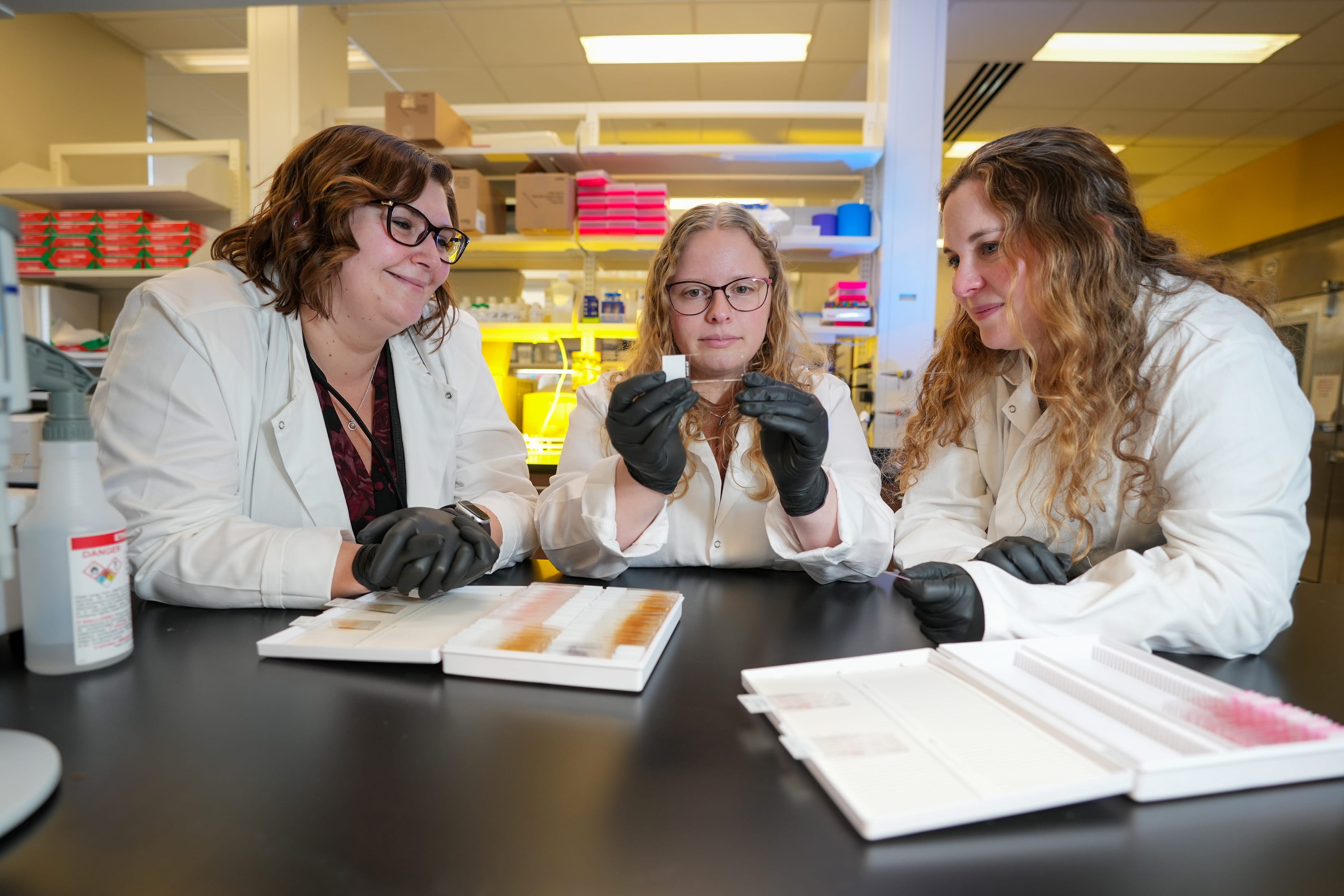 Members of Donna Wilcock's team working in the lab