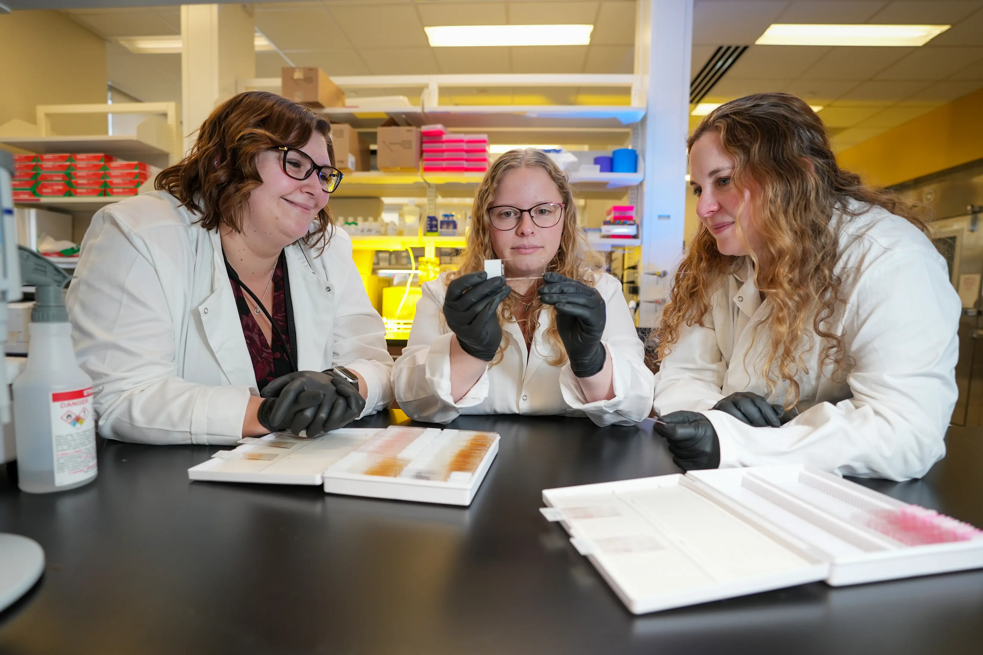Members of Donna Wilcock's team working in the lab