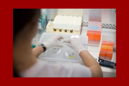 cancer research