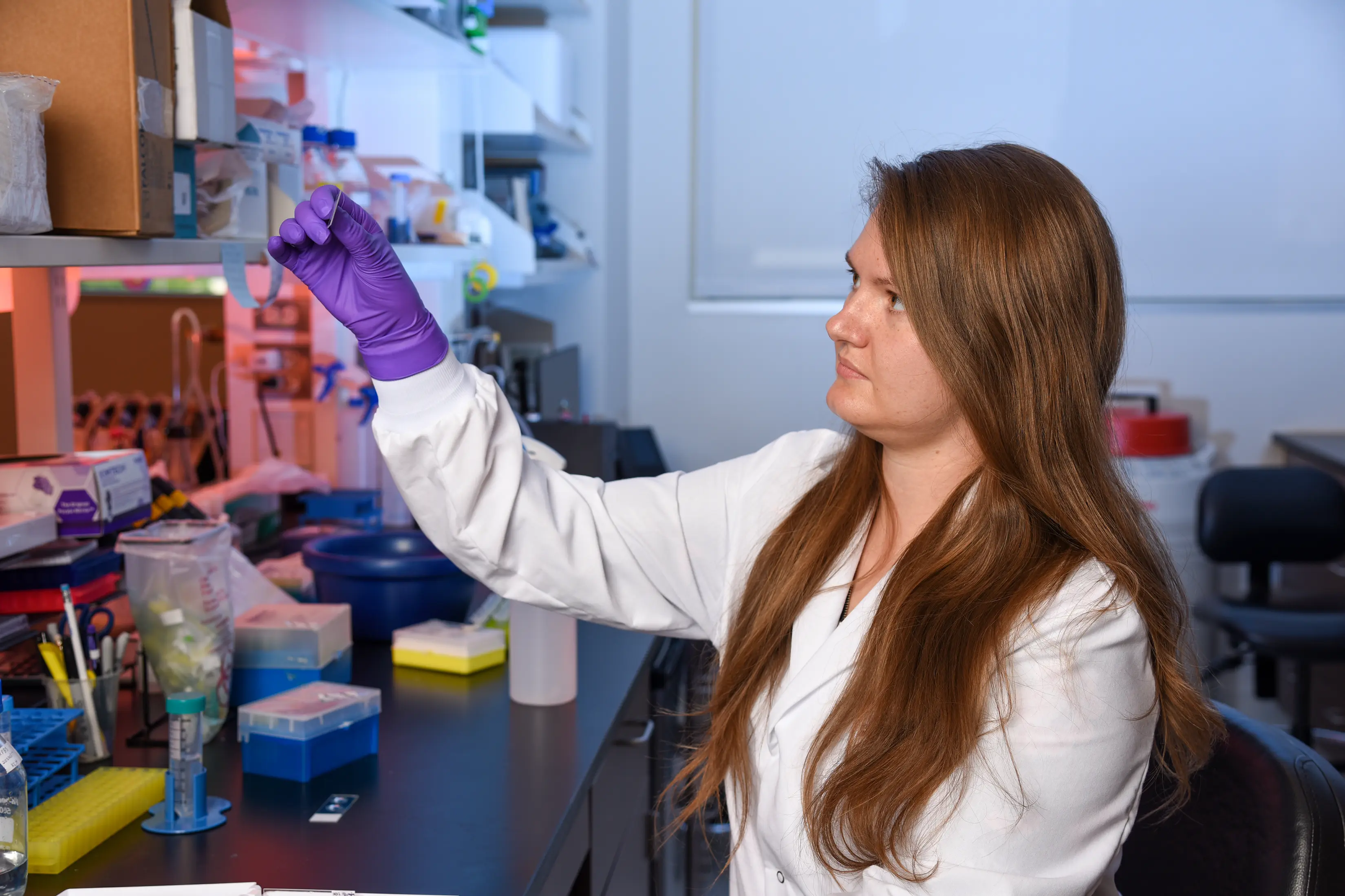 Research | Stark Neurosciences Research Institute | IU School of Medicine