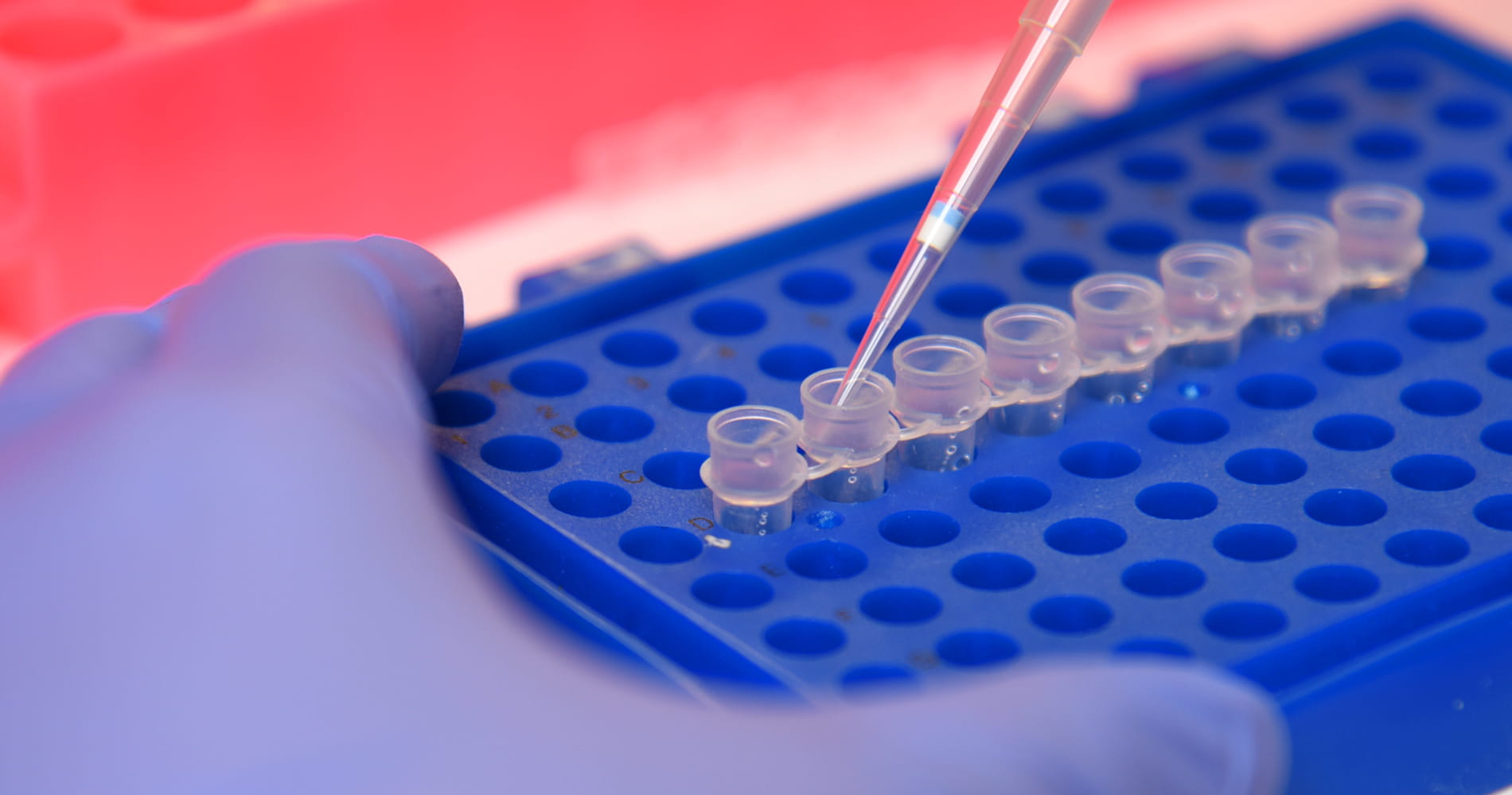 a close up photo shows a sample being prepared in the lab