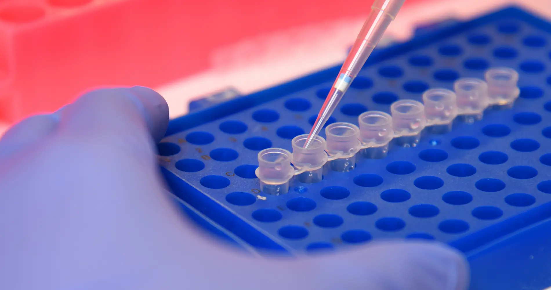 a close up photo shows a sample being prepared in the lab