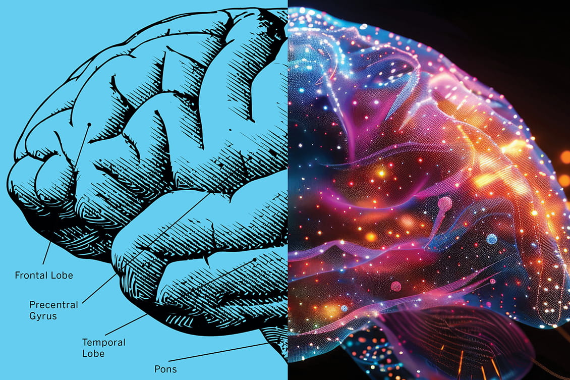 an illustration of a brain made of two halves. On the left is a classic medical illustration in ink with labels. On the right is a vibrant multicolored rendering suggesting a galaxy of stars and space nebula in the shape of the brain.