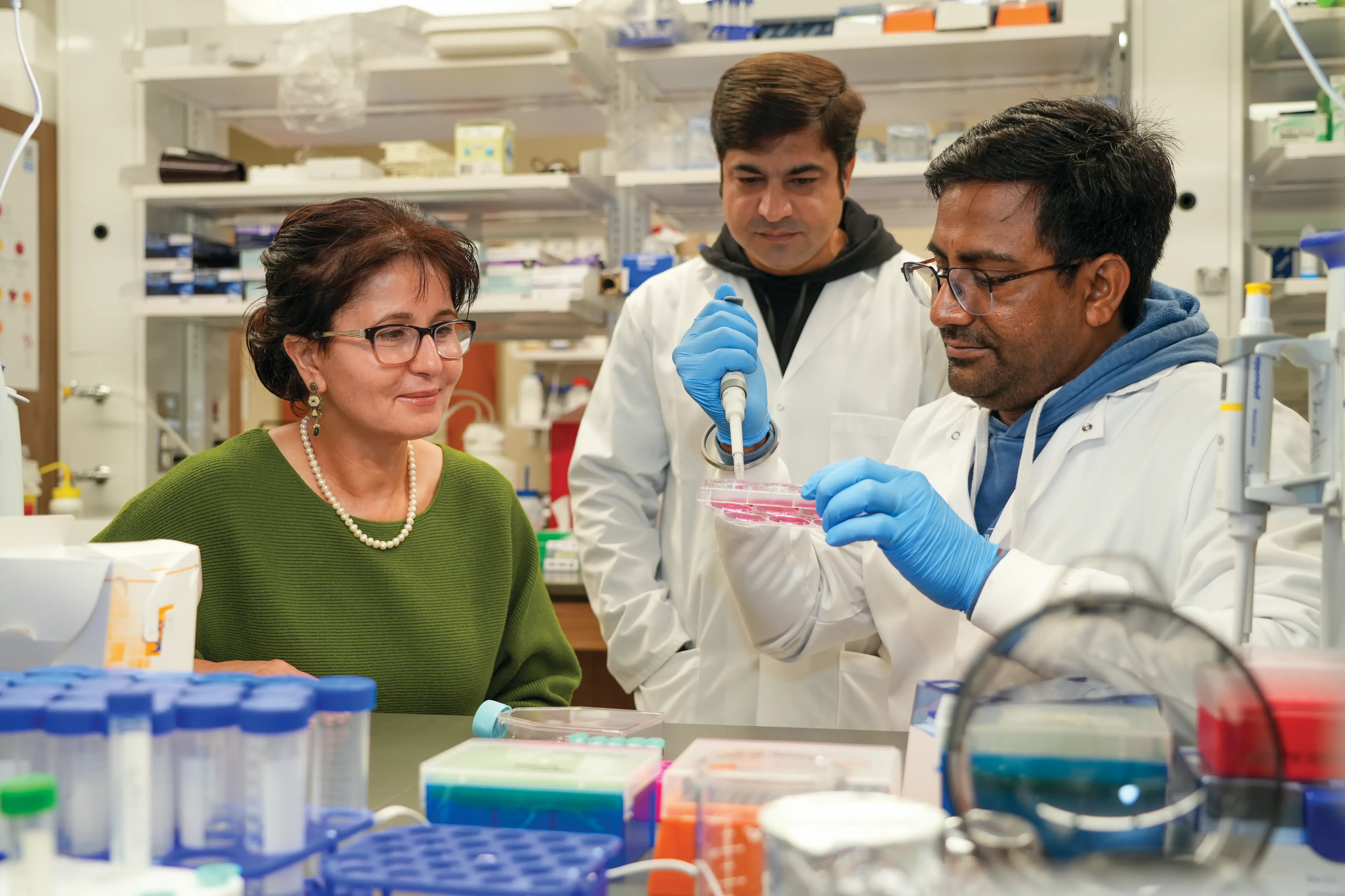Scientists working in the lab