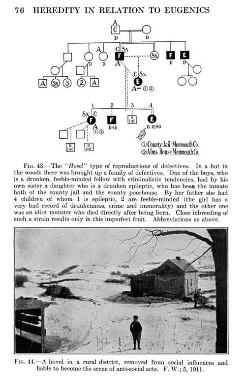 Figure of a pedigree chart for a family of "defectives" and photo of a rural district where this family possibly lived.