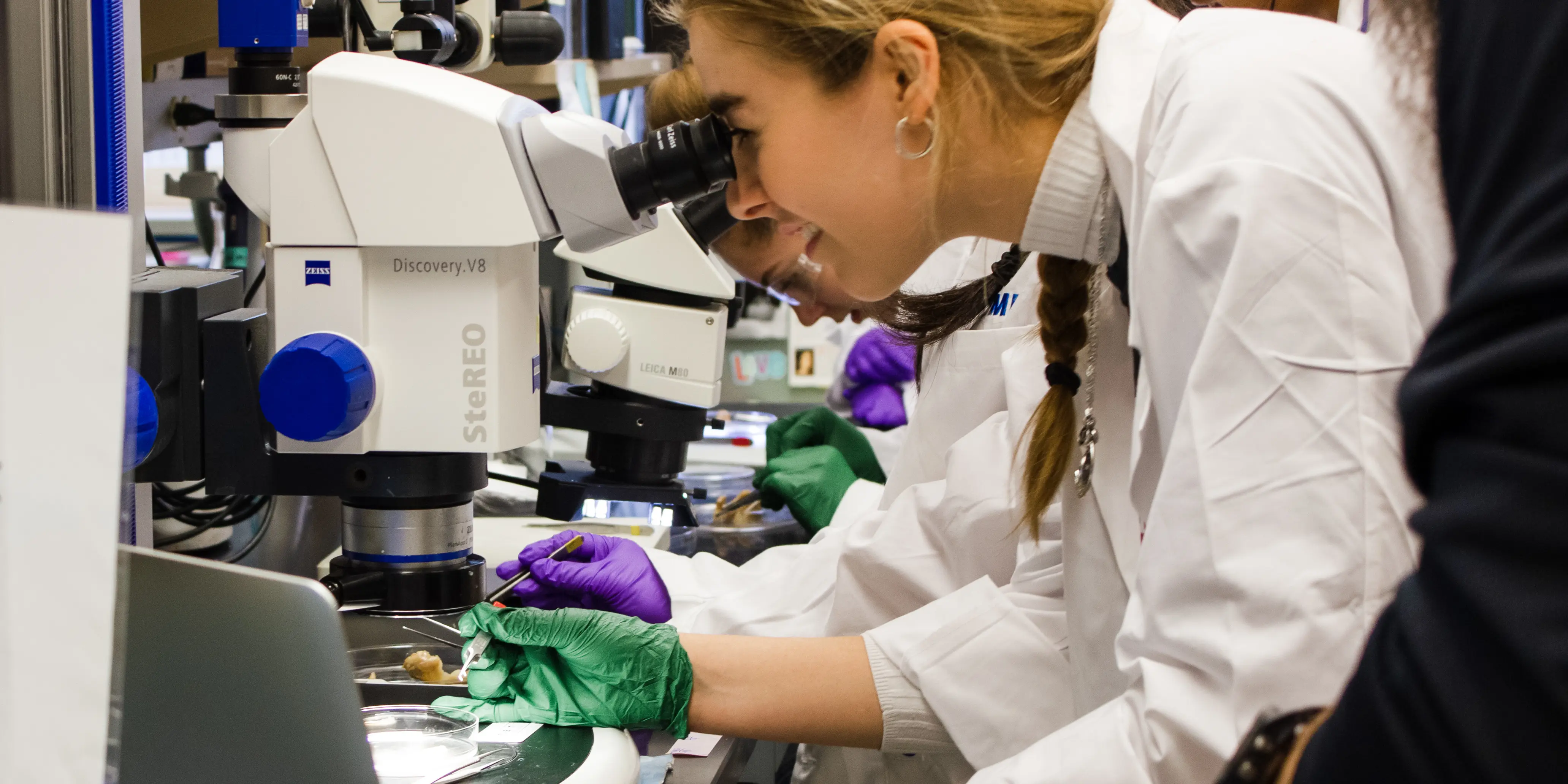 MMIA student looking through a microscope