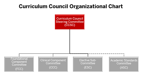 Organization chart of the Curriculum Council Steering Committee