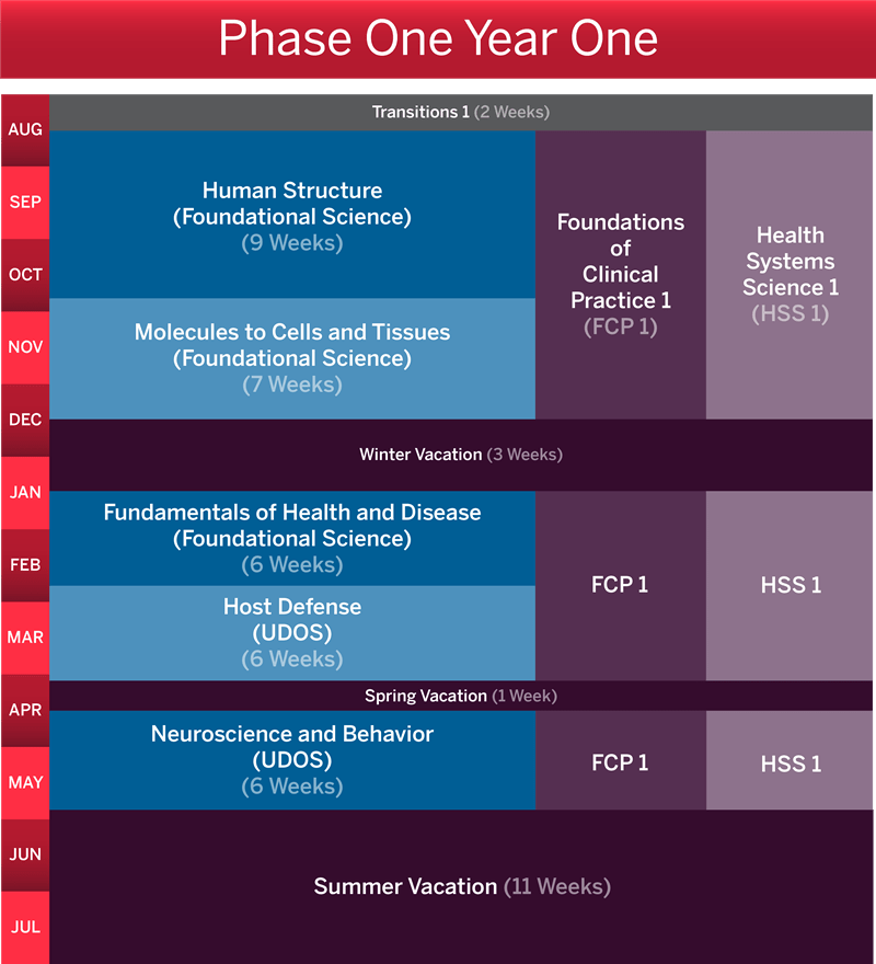 A Calendar of Phase 1 year 1 courses
