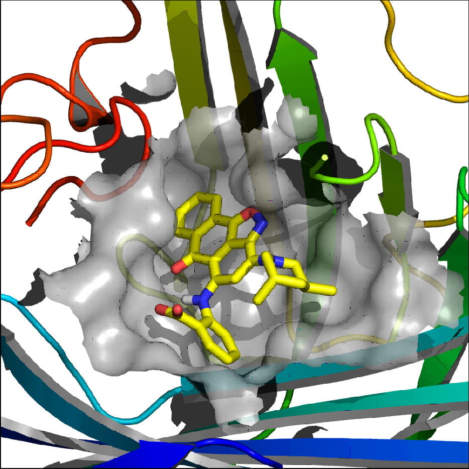 Small_molecule_bound_to_uPAR-Meroueh