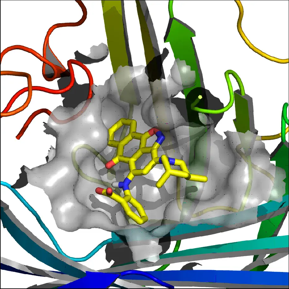 Small_molecule_bound_to_uPAR-Meroueh