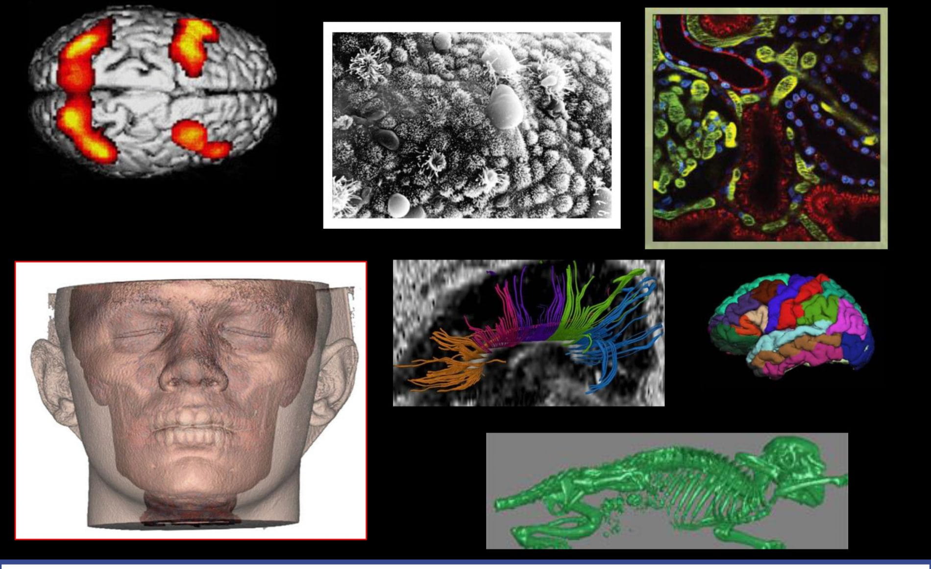 PowerPoint Presentation