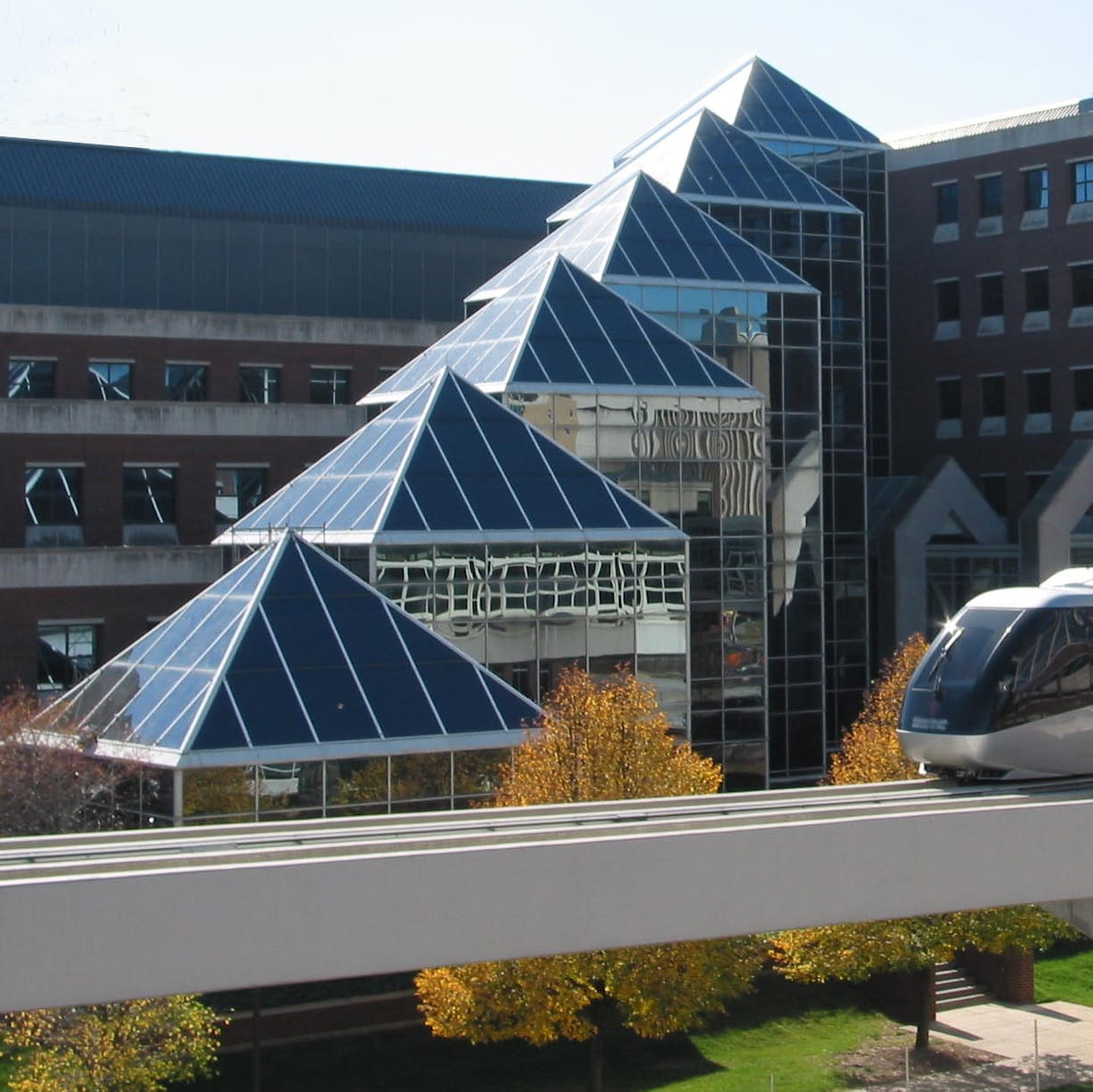 Ruth Lilly Medical Library