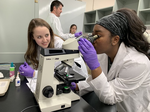 Female MMIA student looking through a microscope