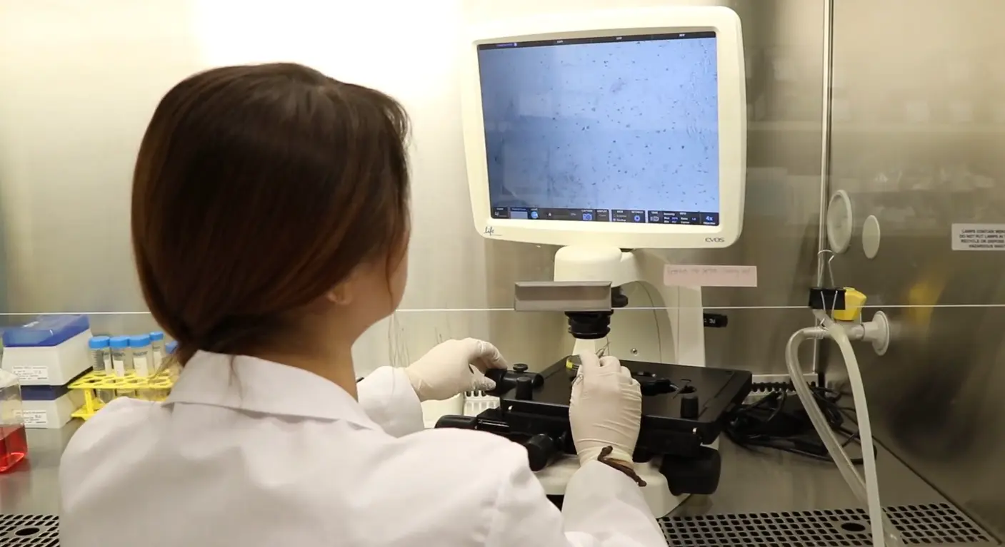 Researcher