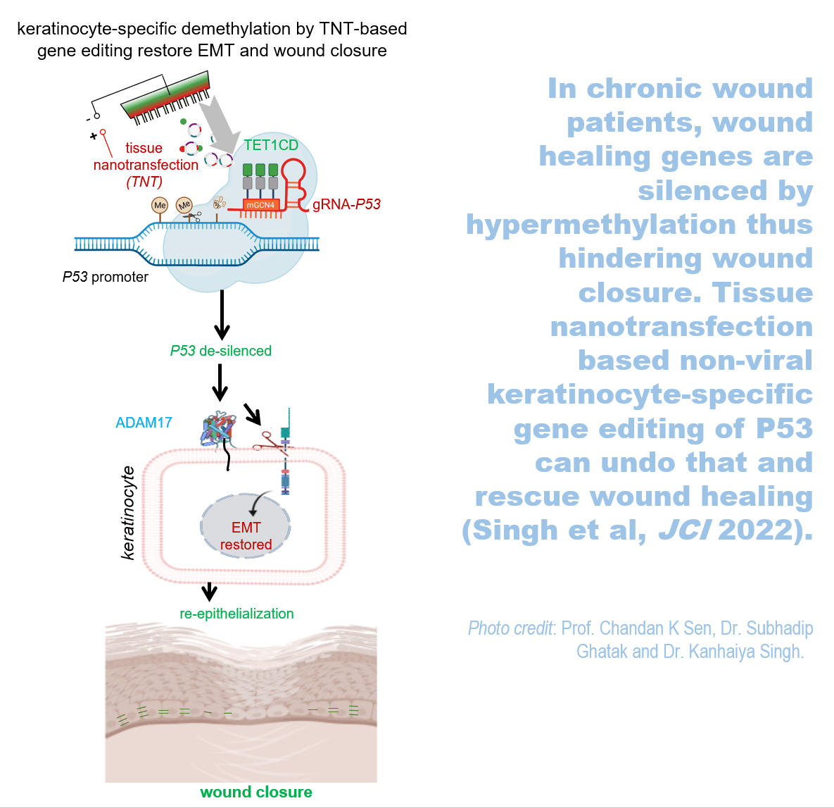 TNT Graphical Abstract