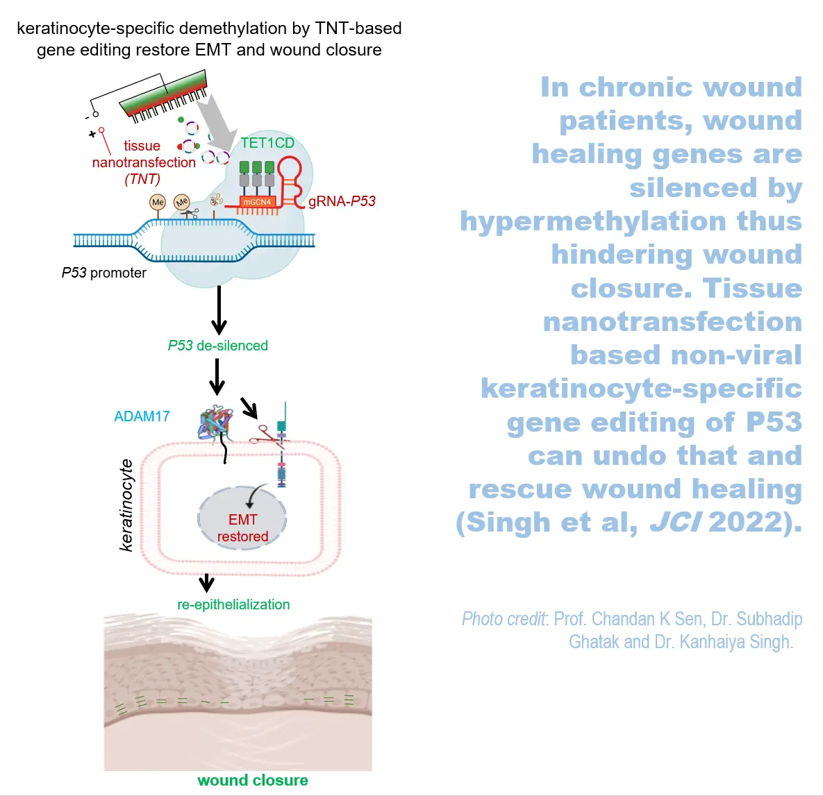 TNT Graphical Abstract