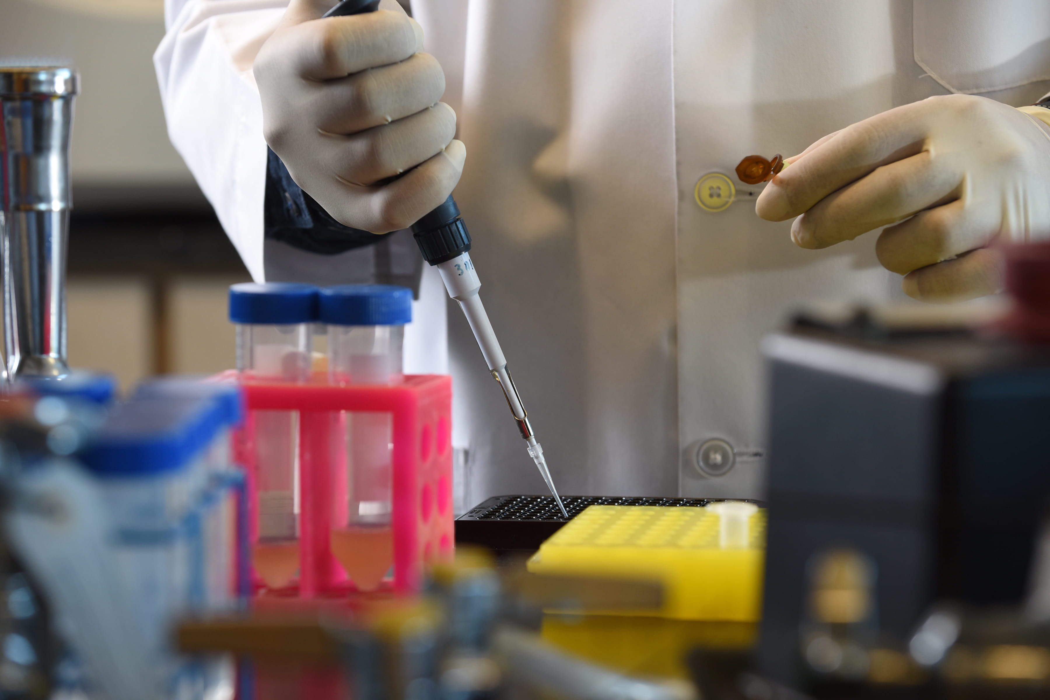 Stock image research