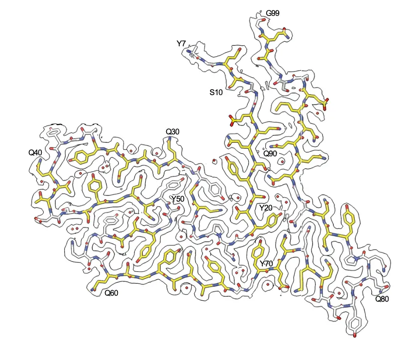 Cryo-EM structure of TAF15 amyloid filaments as discovered in patients with frontotemporal dementia