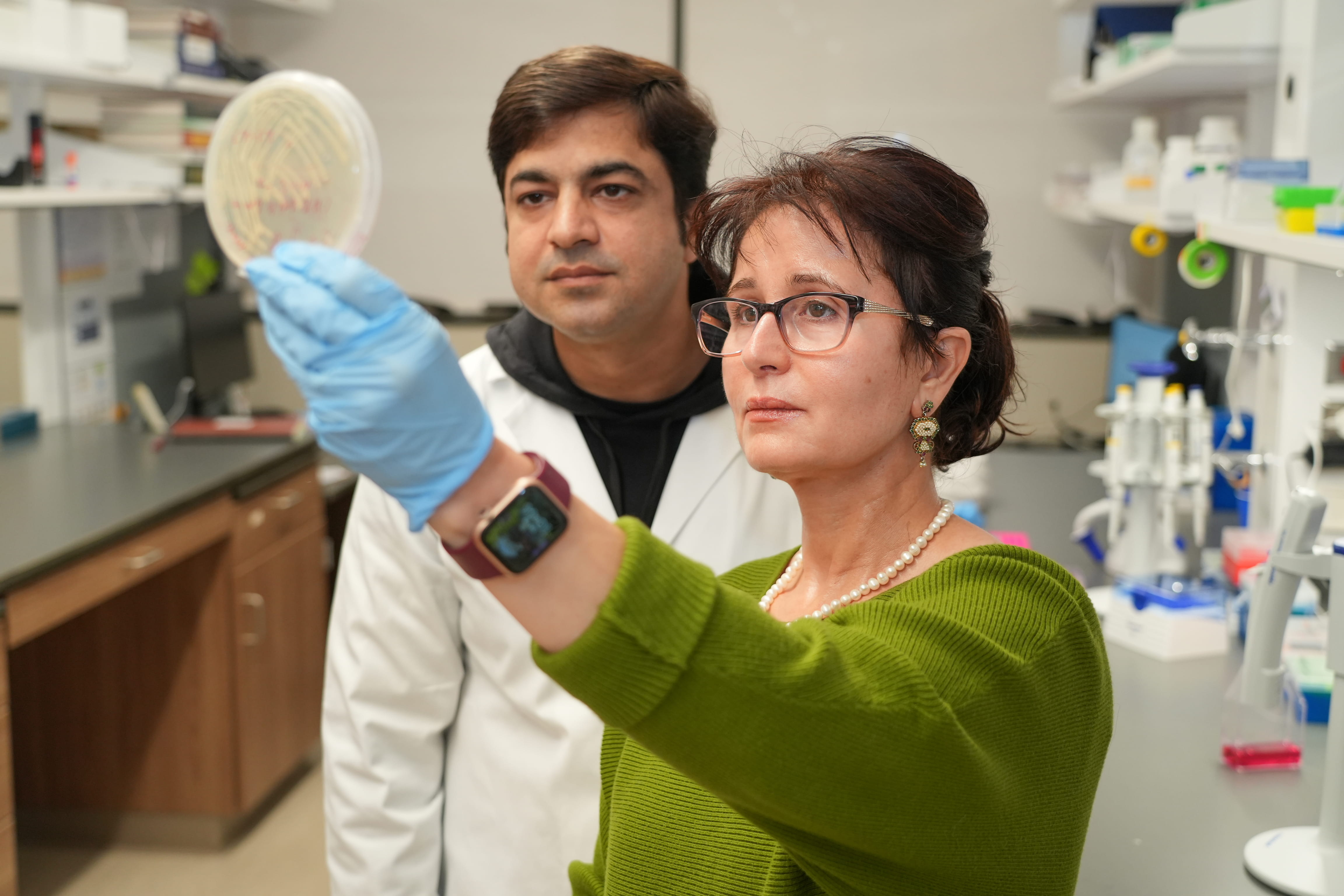 Huda Salman holds a sample up to the light in the lab while Niaz Muhammad examines it over her shoulder