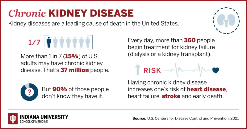 Despite the large burden, kidney disease has been largely underfunded and understudied. Despite the large burden, kidney disease has been largely underfunded and understudied.