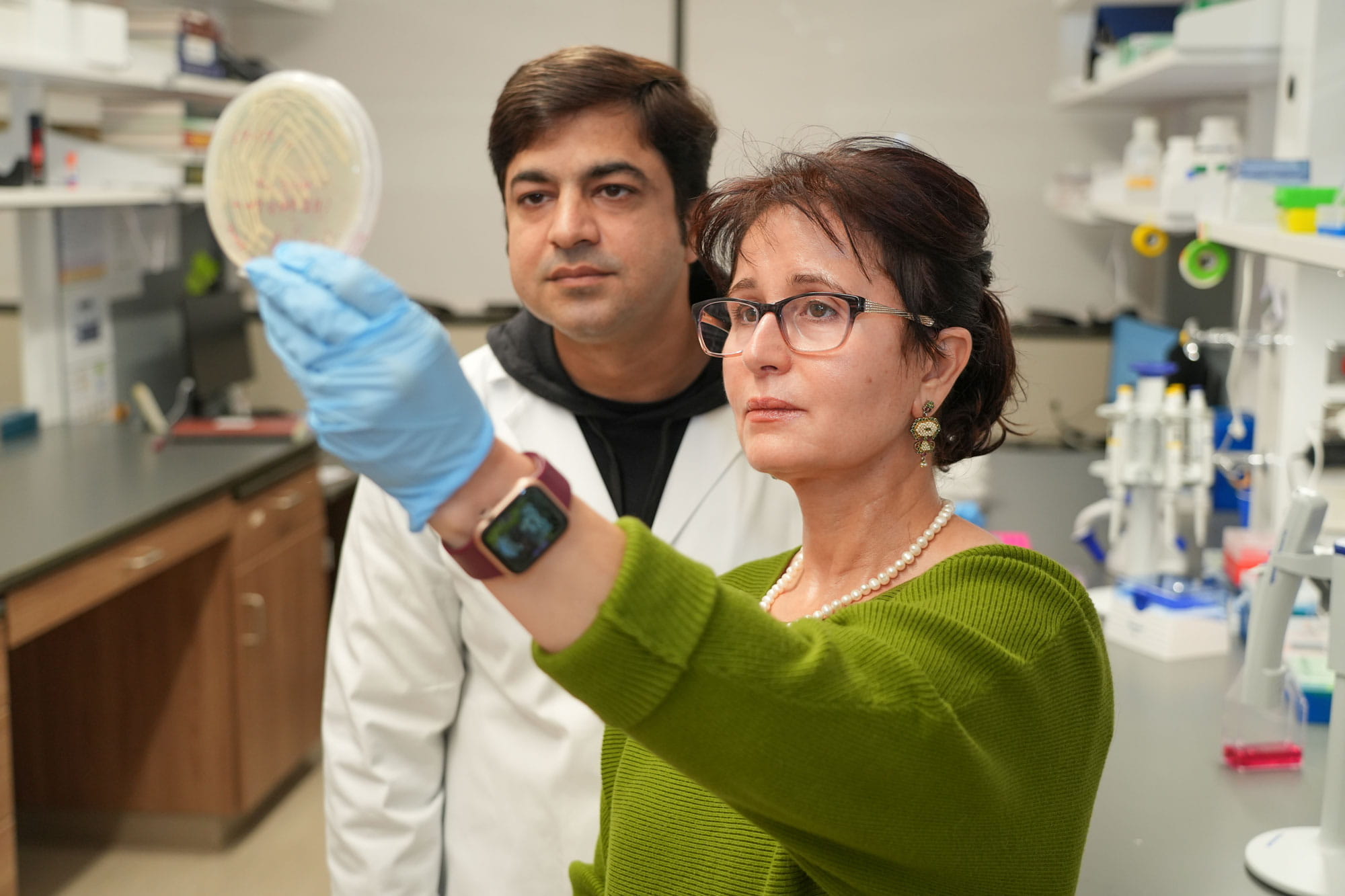 Two researchers hold up and view a petri dish in their lab