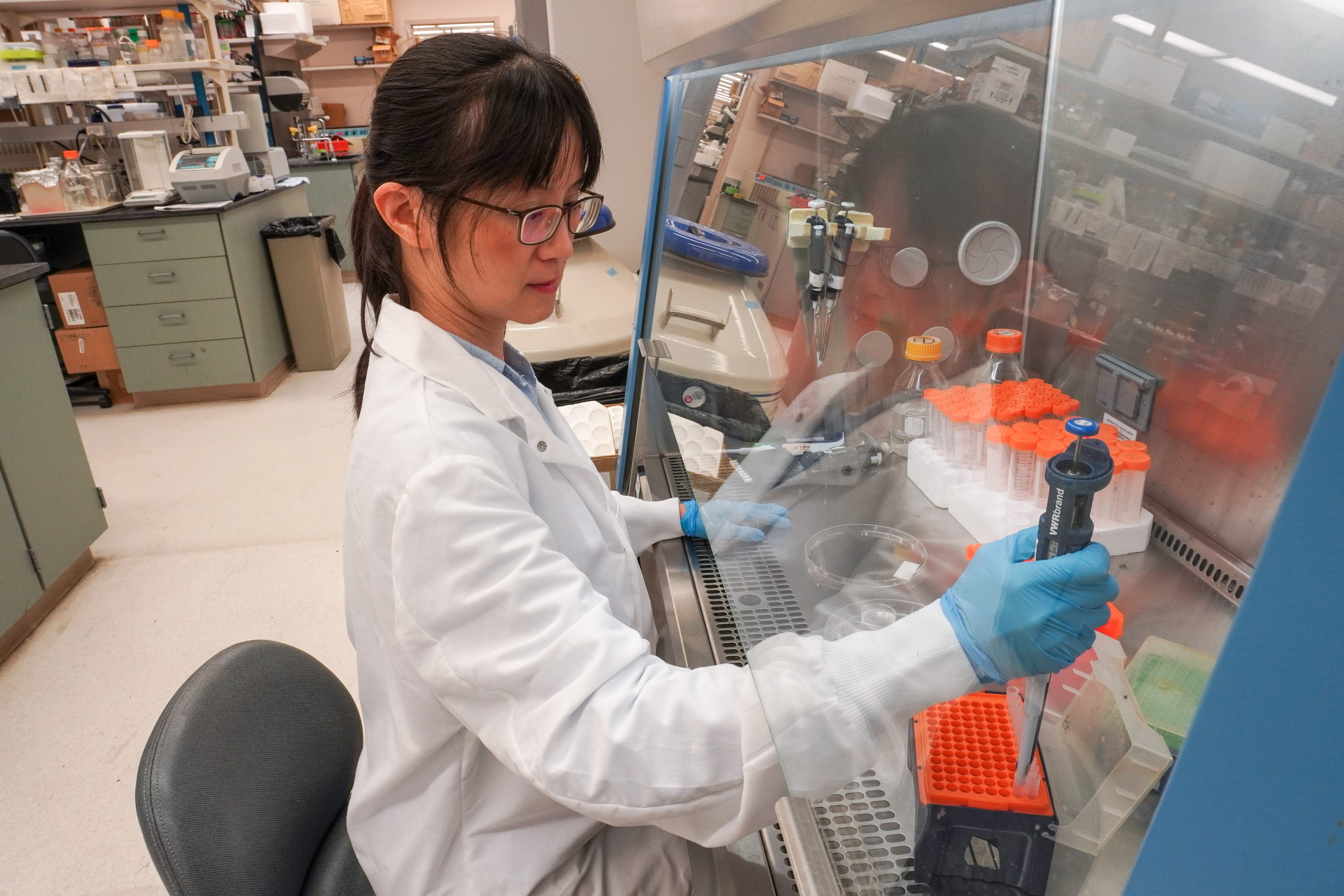 A woman works in her lab